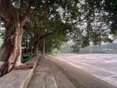 -西南政法大学(沙坪坝校区)