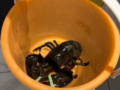 -绿波廊(豫园店)