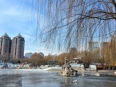 -团结湖公园