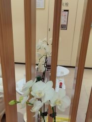 -Yestar宁波艺星整形医院