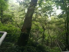 -杭州林泉山庄