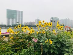 -二沙岛艺术公园
