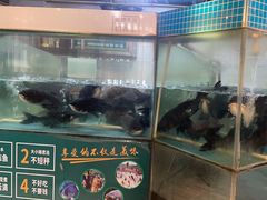 -老傅家湘潭水煮活鱼店(众一国际店)