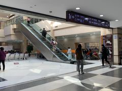 -上海中医药大学附属曙光医院(东部)