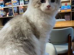 -剧狐剧本杀(徐汇1号店)