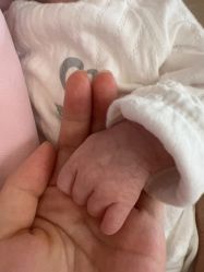 -禧月荟S月子中心(侨城店)