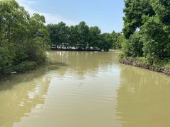 -上海海湾国家森林公园