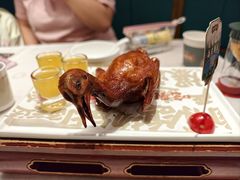 -大鸽饭(岗顶店)
