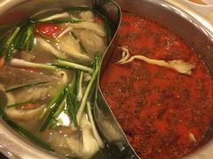 -朱氏胖子烂火锅(洪崖洞店)