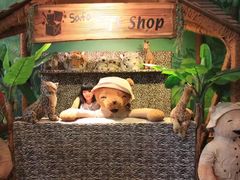 -济州岛泰迪熊博物馆