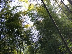 -山沟沟景区