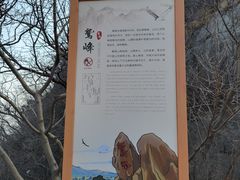 -北京鹫峰国家森林公园