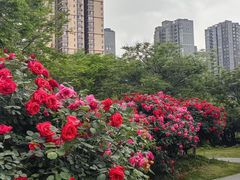 -咸阳湖景区