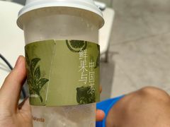 -茶百道(锦江华熙528店)