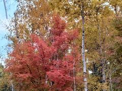 -长春市南湖公园