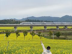 -光明小镇欢乐田园