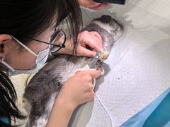 -美迦爱-牙专科·兔科·骨科诊疗中心(北苑店)