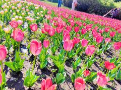 -长春公园(普阳街道)