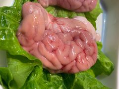 猪脑-锅说大脸毛肚重庆老火锅(佐阾店)