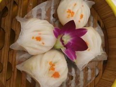 -卡尔顿东方银龙酒店•广西菜•早茶