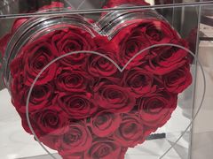 -ROSEONLY诺誓(磐基中心店)