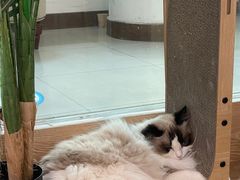 -iF摄影•全家福•证件照•形象照(南山店)