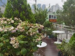 -花·fleur古董西餐厅(西城夜未央店)