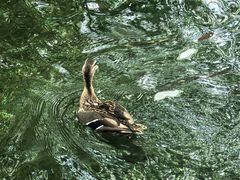 -水磨沟公园