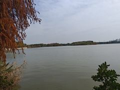 -海珠湖公园
