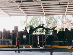 -泉州海丝野生动物世界