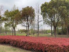 -广富林郊野公园