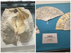 -青岛贝壳博物馆