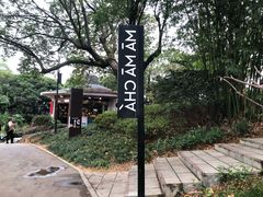 -MAMACHA妈妈茶(岳麓山店)
