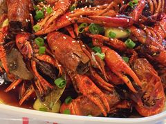油焖大虾-靓靓蒸虾·头牌蒸虾(南山桂庙店)