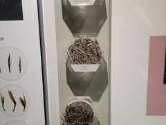 -中国茶叶博物馆(双峰馆区)