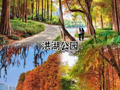 -深圳市中科院仙湖植物园