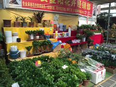 -秦美花卉(天朗·莱茵小城2期店)