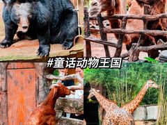 -长鹿旅游休博园