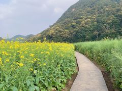 -广州市石门国家森林公园