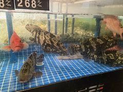 -闽海肴(北辰荟店)