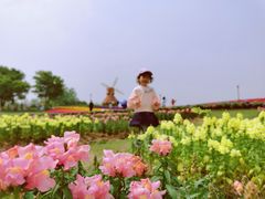 -杭州湾海上花田景区