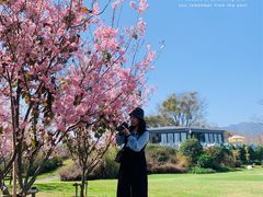 -福建鲤鱼洲酒店