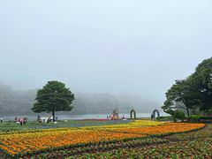 -广州市石门国家森林公园