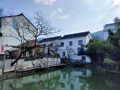 -树山生态村