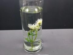 景点-李时珍纪念馆