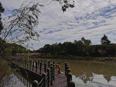 -柳鹭田园区