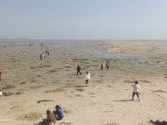 -北海金海湾红树林生态旅游区