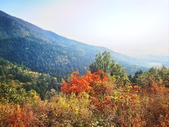 -北京十三陵国家森林公园蟒山景区