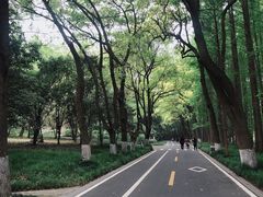 -采石矶景区