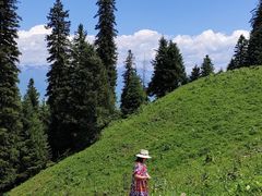 -新疆那拉提国家旅游度假区